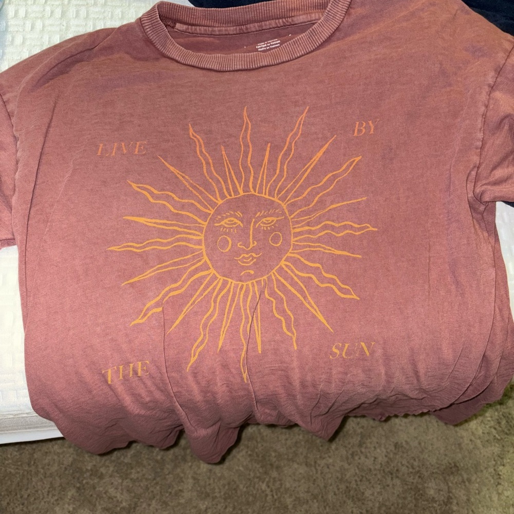 American Eagle Outfitters Graphic Tee in Dusty Rose